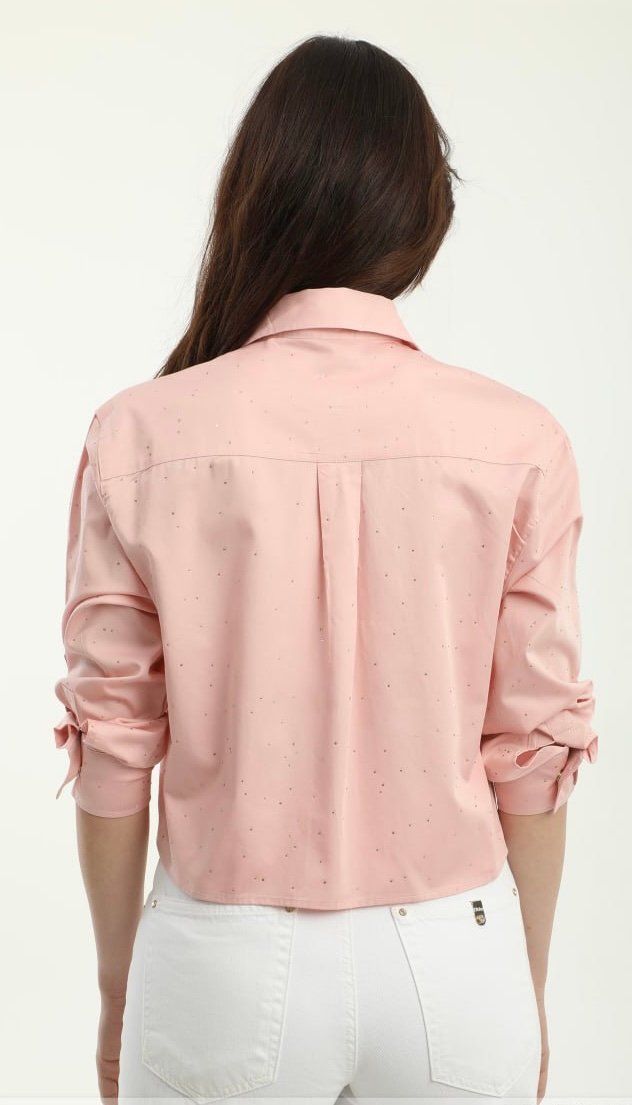 Roze blouse dishe
